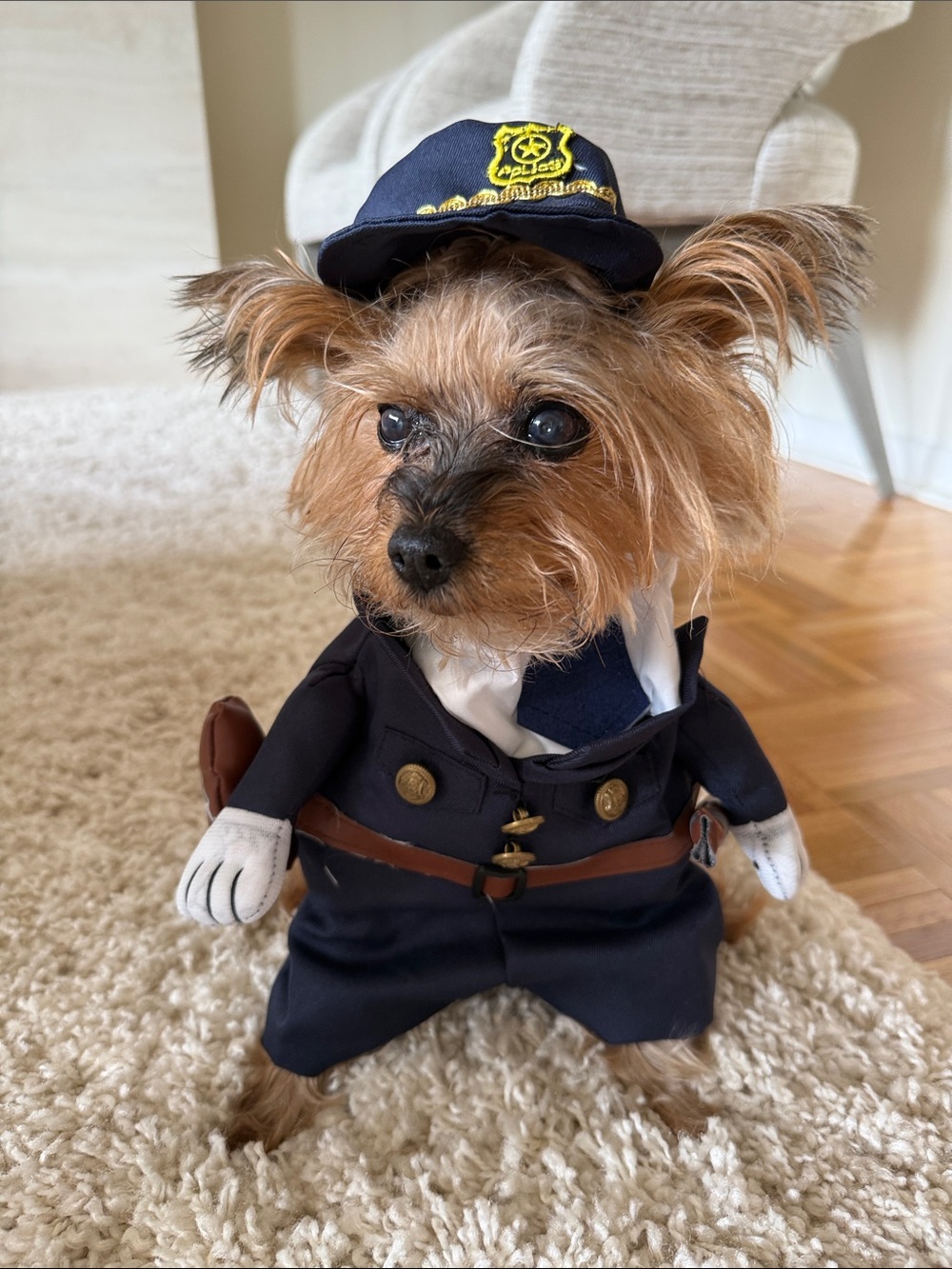 Dog Police Costume - Navy Blue Pet Outfit - XS